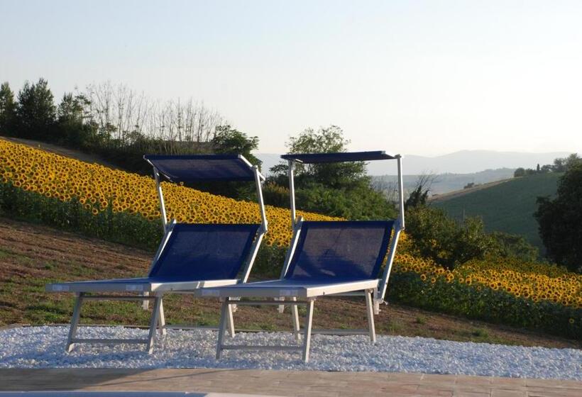 B&b Profumo Delle Marche