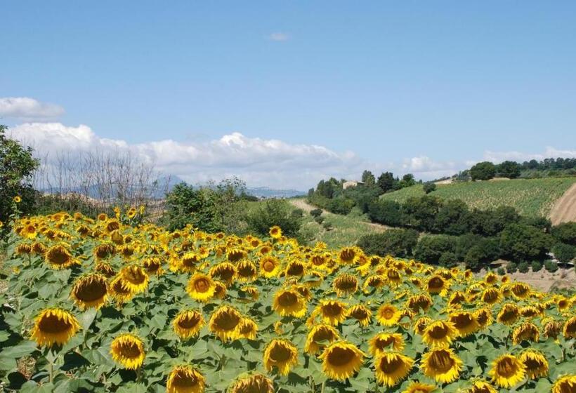 B&b Profumo Delle Marche