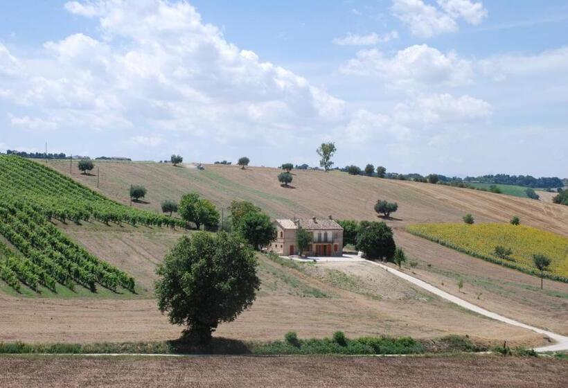 B&b Profumo Delle Marche