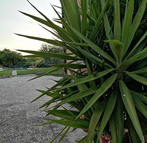 B&b Ronco Degli Ulivi