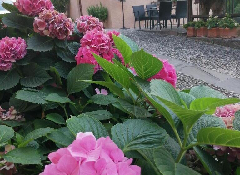 B&b Ronco Degli Ulivi