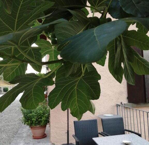 B&b Ronco Degli Ulivi