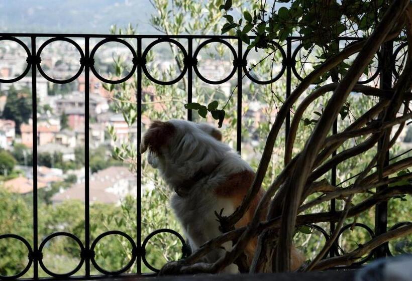 B&b Villa Moro   Family House