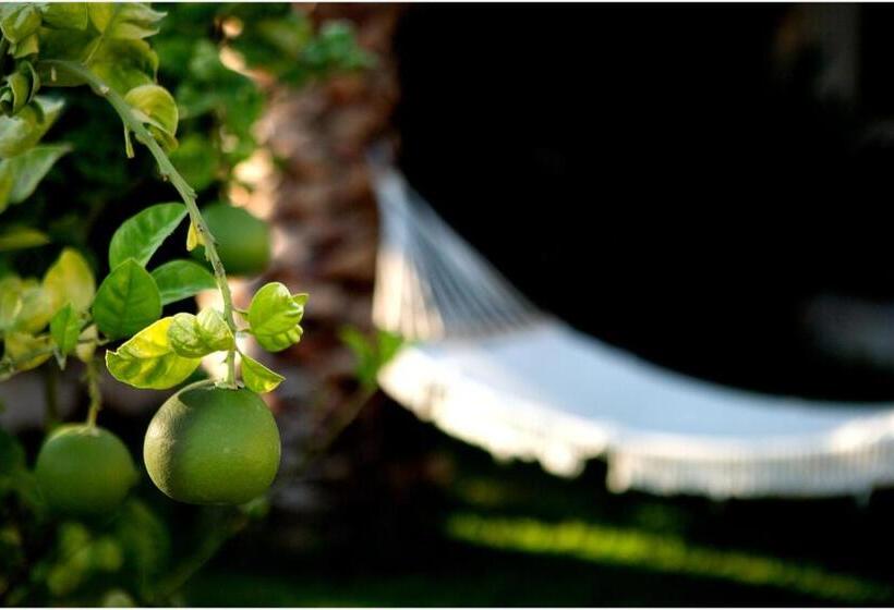 민박 Ai Parchi Dei Parrini