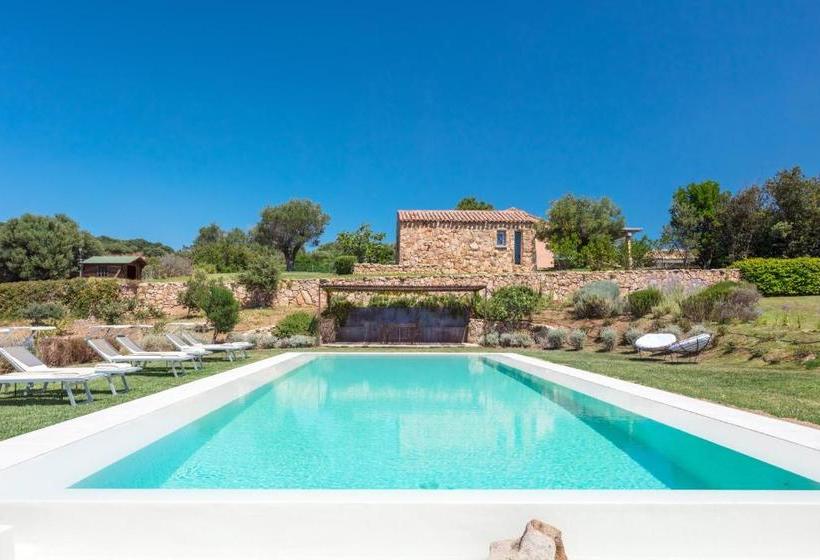 צימר Albero Capovolto