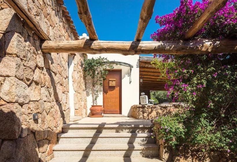 צימר Albero Capovolto