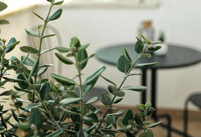 مبيت وإفطار Bed&belvedere