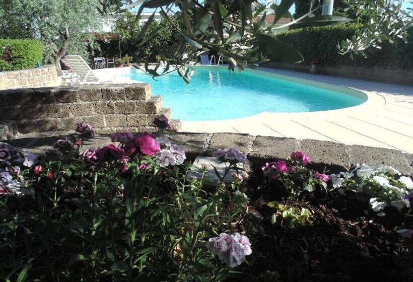 مبيت وإفطار Bigotti