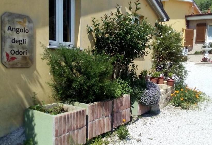 مبيت وإفطار Bigotti