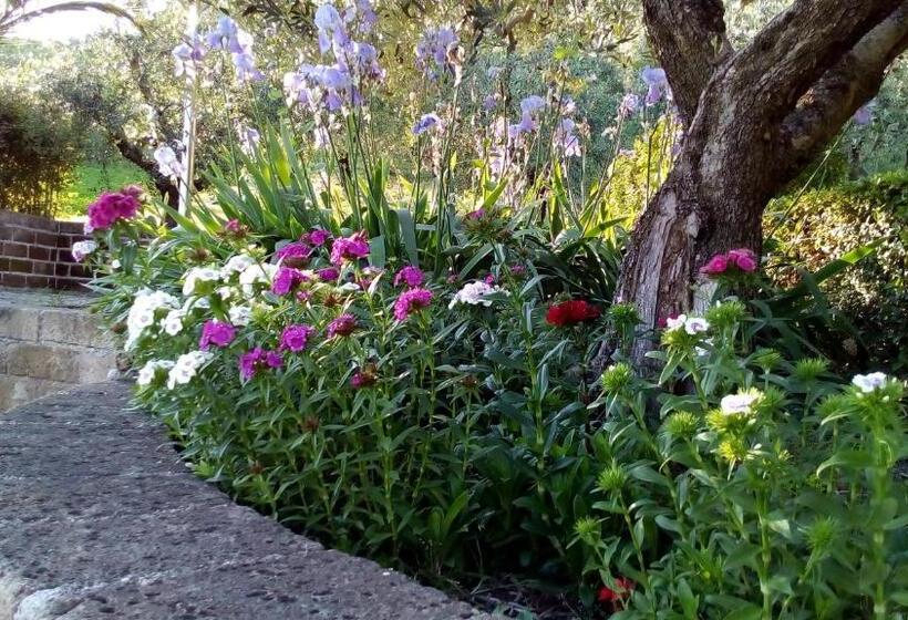 مبيت وإفطار Bigotti