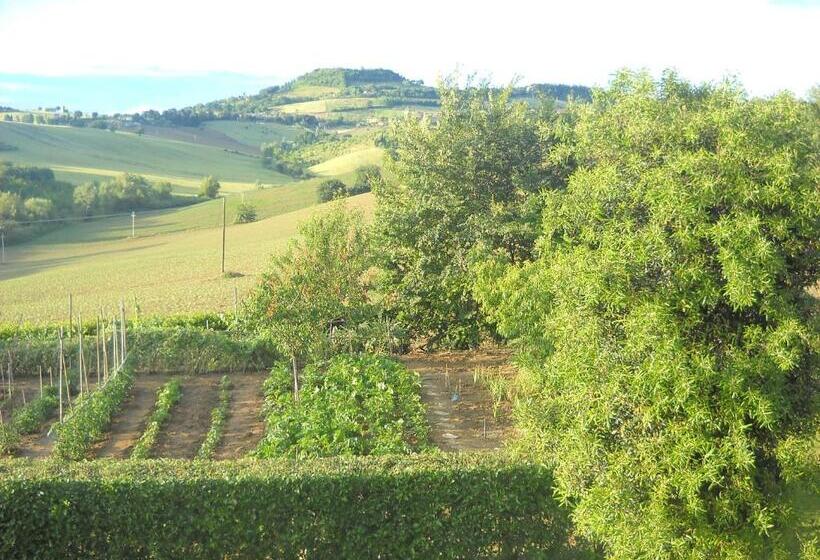 تختخواب و صبحانه Campodisole