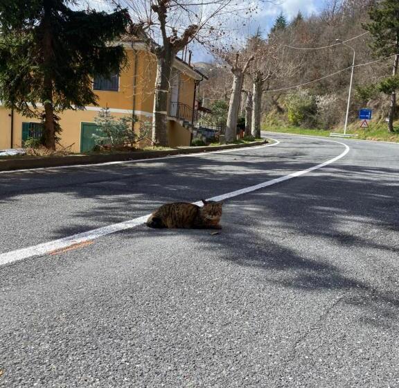 Bed and Breakfast Casa Rosalie