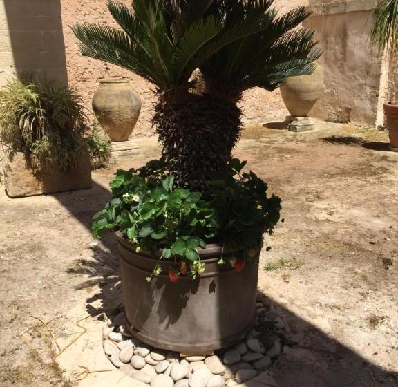 Bed and Breakfast Casale Rocca Fiorita