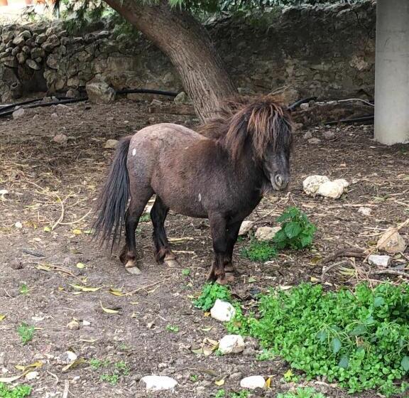 Bed and Breakfast Casale Rocca Fiorita