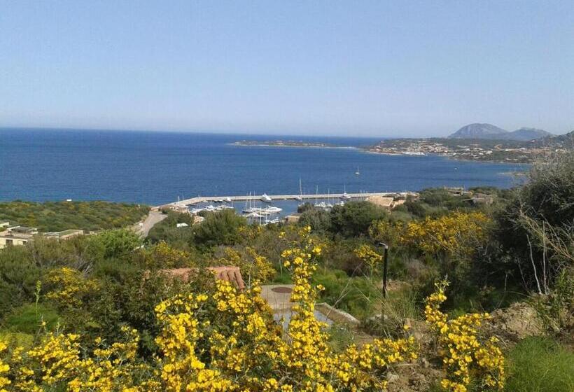 צימר Domus Corallia Luxury Rooms