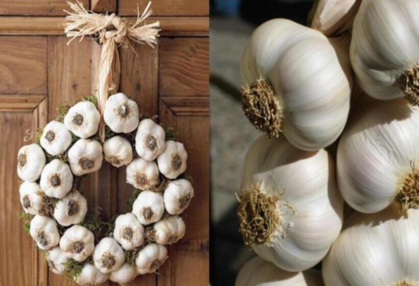 تختخواب و صبحانه Donnaciccinatrapani