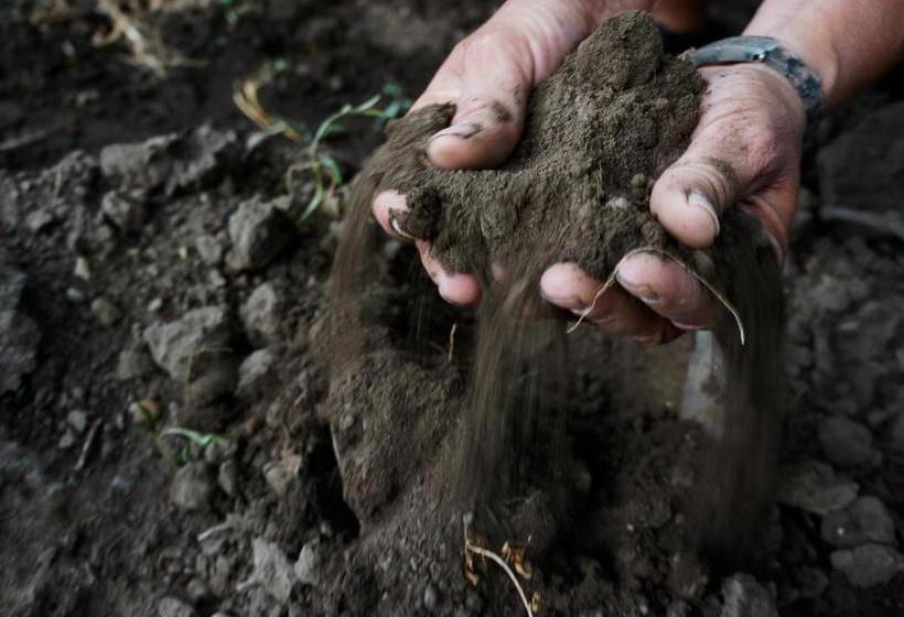 Bed and Breakfast Gästehaus Ringbauer