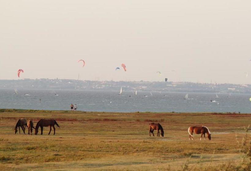Bed and Breakfast Gästehaus Ringbauer