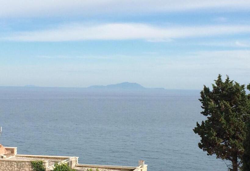 צימר Guarinelli 88