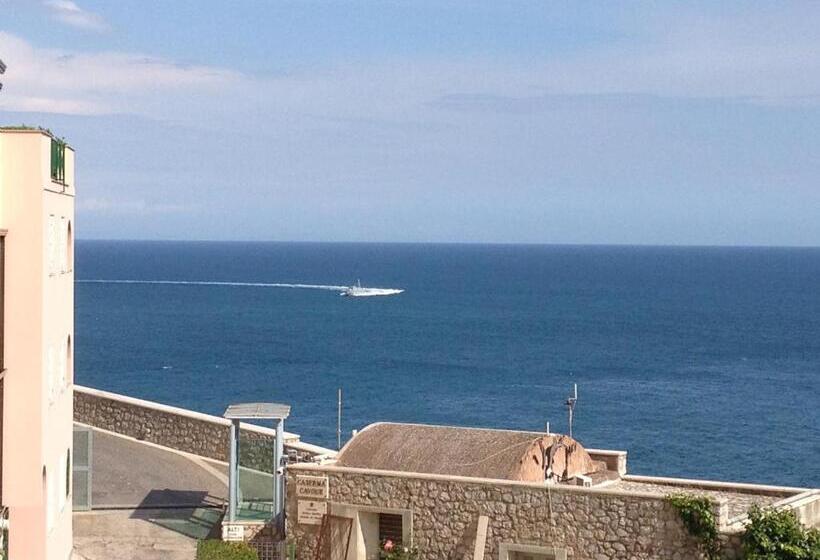 צימר Guarinelli 88