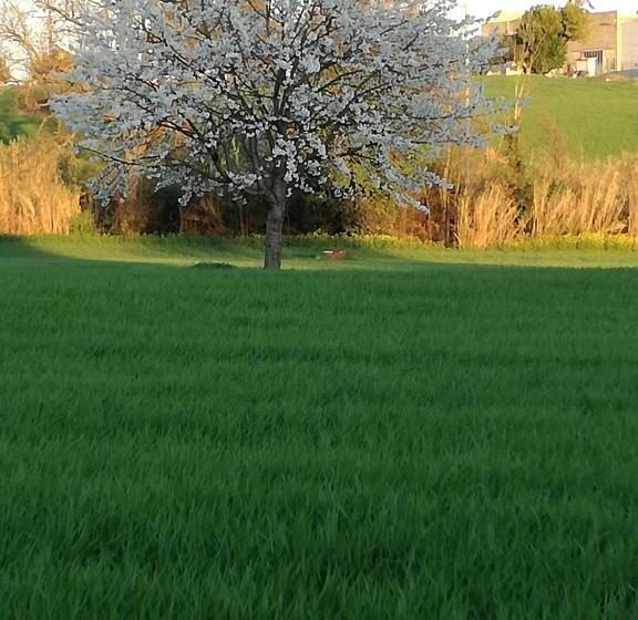 مبيت وإفطار I Ciliegi