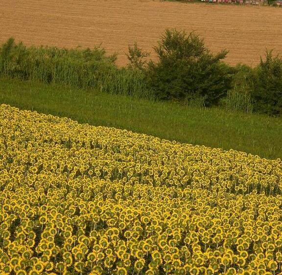 مبيت وإفطار I Ciliegi