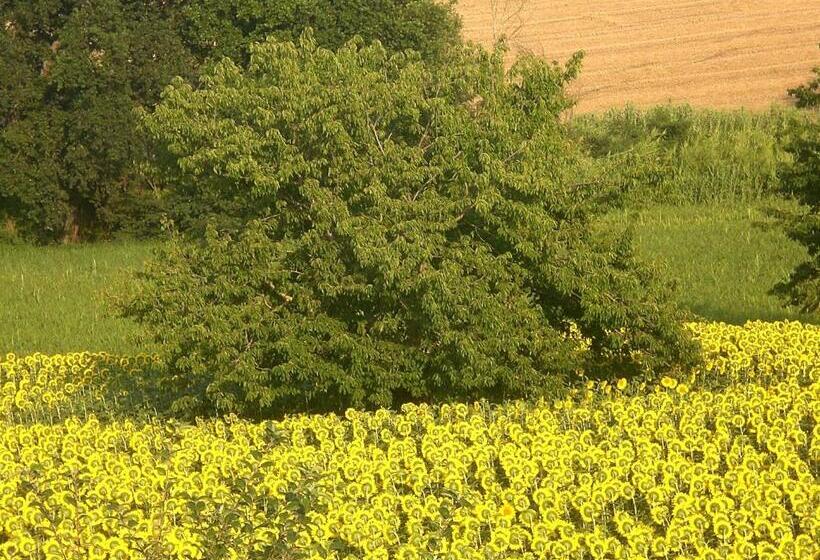 مبيت وإفطار I Ciliegi