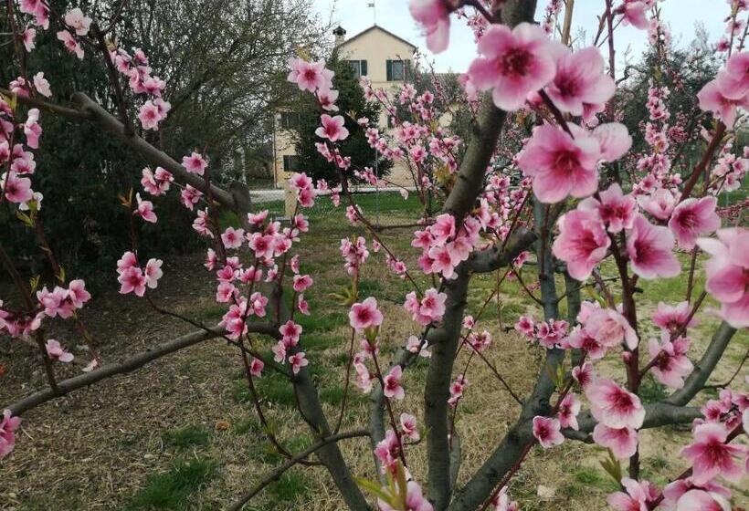 مبيت وإفطار I Ciliegi