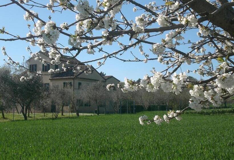 مبيت وإفطار I Ciliegi