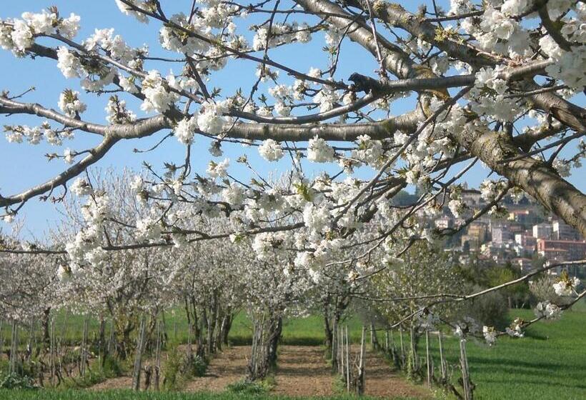 مبيت وإفطار I Ciliegi