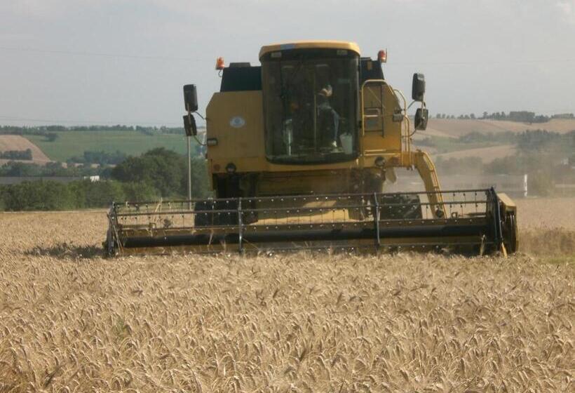 مبيت وإفطار I Ciliegi