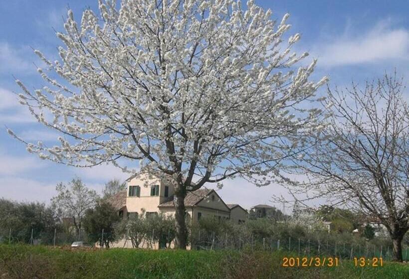 مبيت وإفطار I Ciliegi