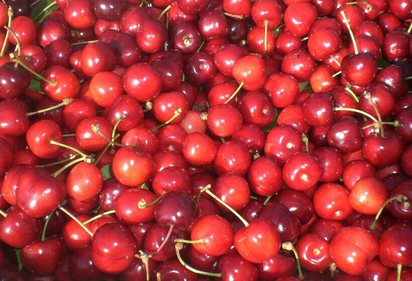 مبيت وإفطار I Ciliegi