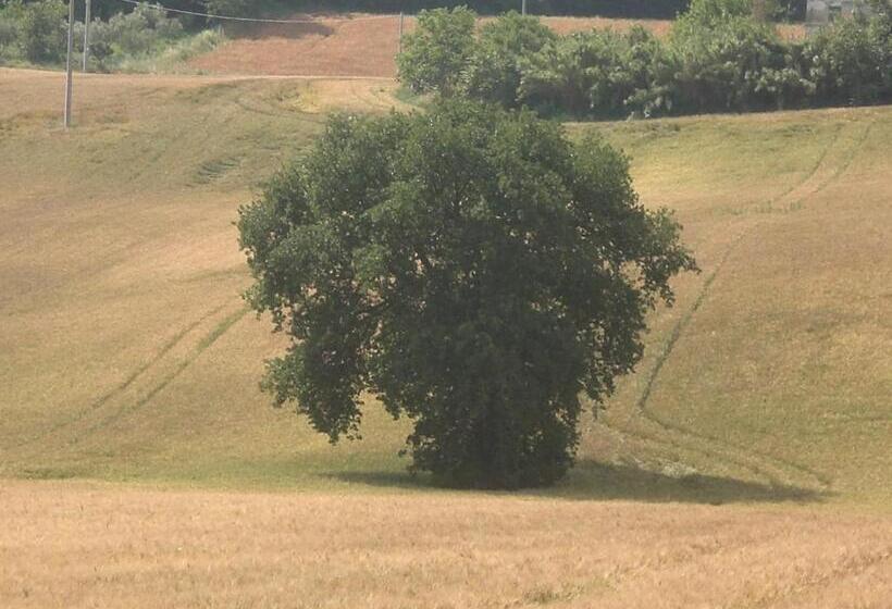 مبيت وإفطار I Ciliegi