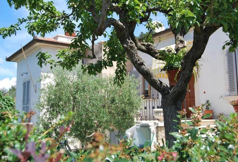 Bed And Breakfast Il Cappero