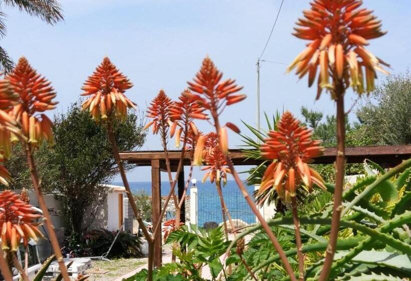 Bed and Breakfast La Casa A Mare