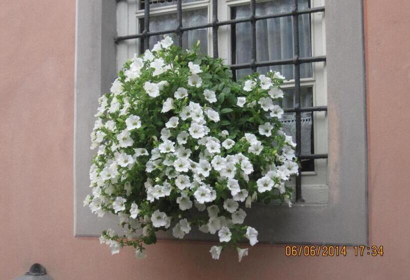 住宿加早餐  La Gatta Sul Tetto