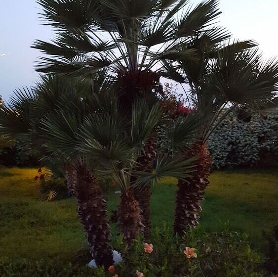 Bed and Breakfast La Suite Del Faro