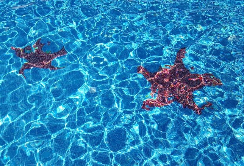 Bed and Breakfast La Suite Del Faro