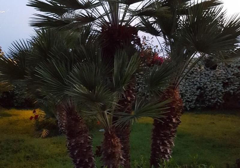 Bed and Breakfast La Suite Del Faro