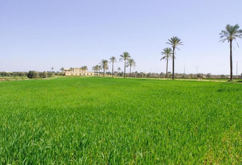 مبيت وإفطار Masseria Galatea Agriturismo