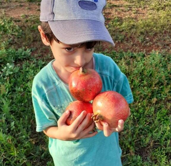 مبيت وإفطار Masseria Galatea Agriturismo