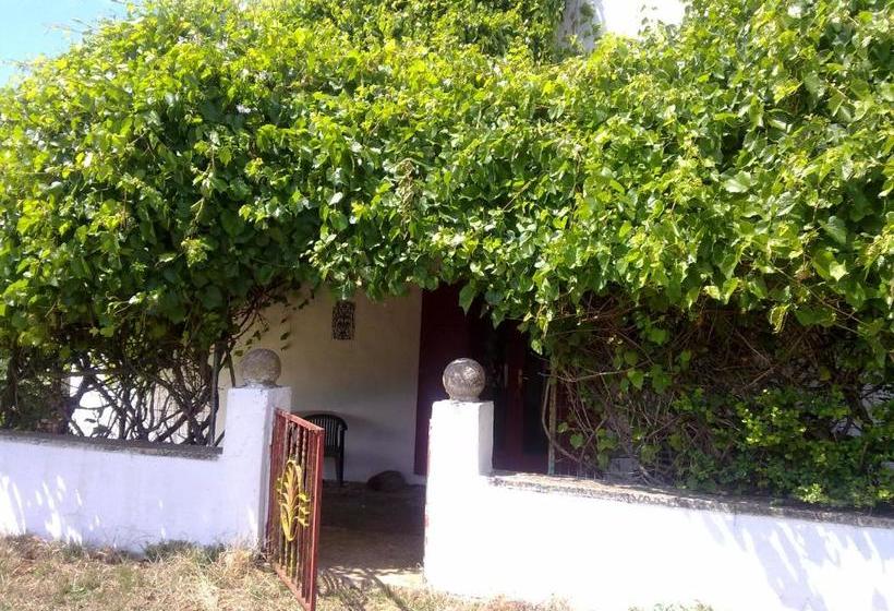 住宿加早餐  Masseria Murgia Albanese