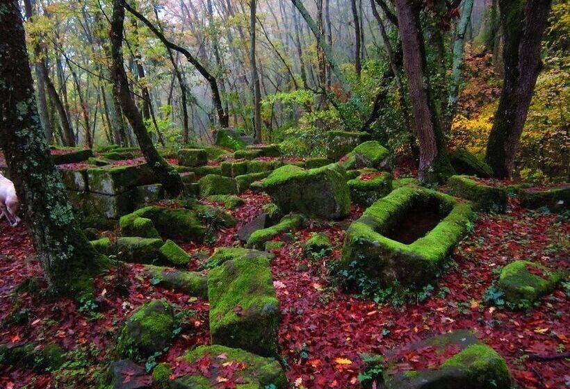 צימר Podere Pontepietra