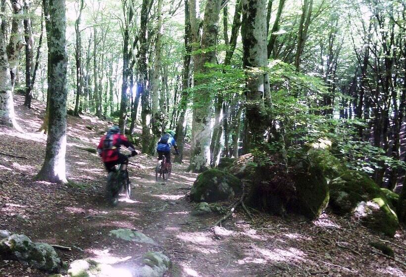 צימר Podere Pontepietra