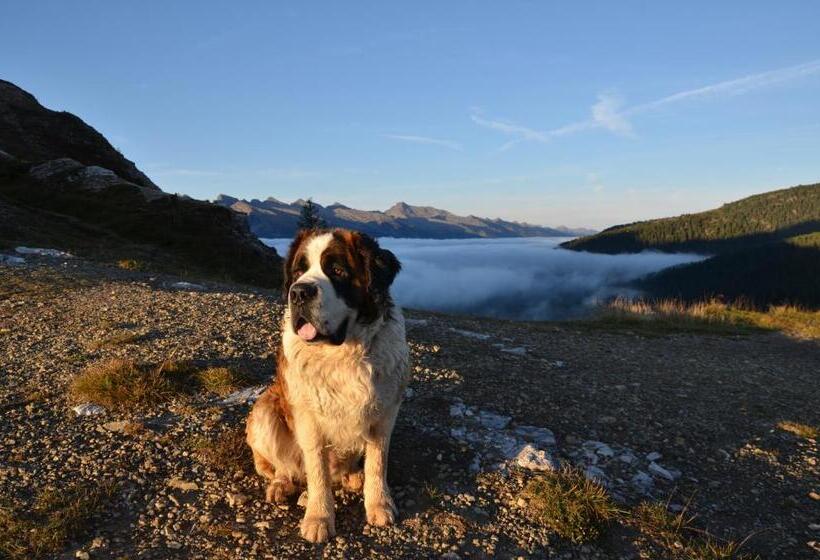 ベッドアンドブレックファースト Rifugio Capanna Passo Valles