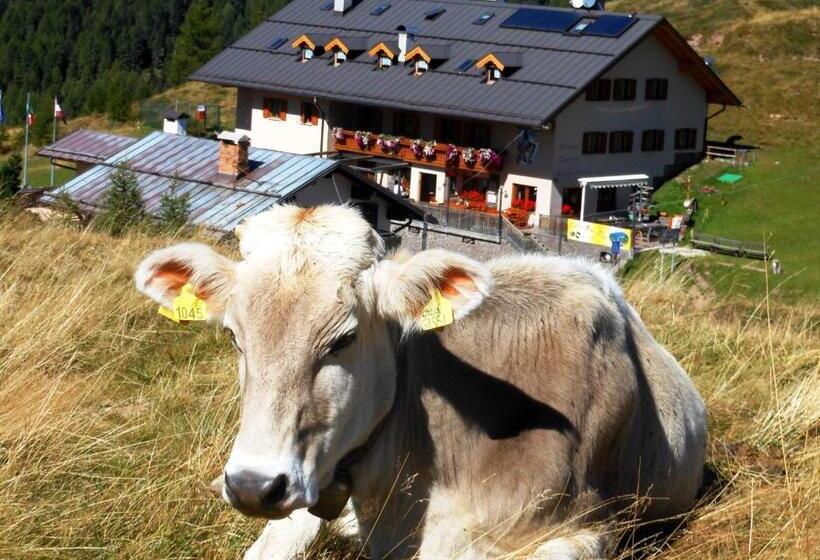 ベッドアンドブレックファースト Rifugio Capanna Passo Valles