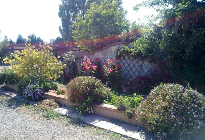 住宿加早餐  Su Carru A Boi