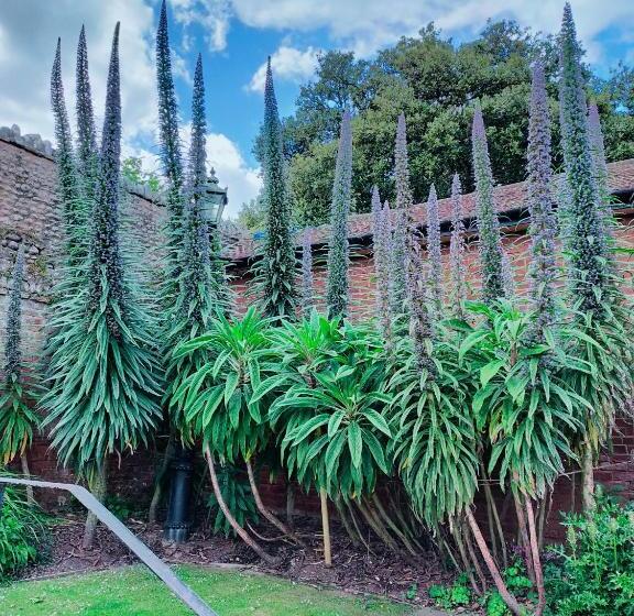 צימר The Groveside Guest House