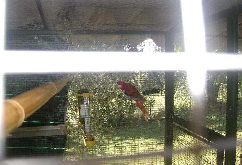 צימר The Wishing Well